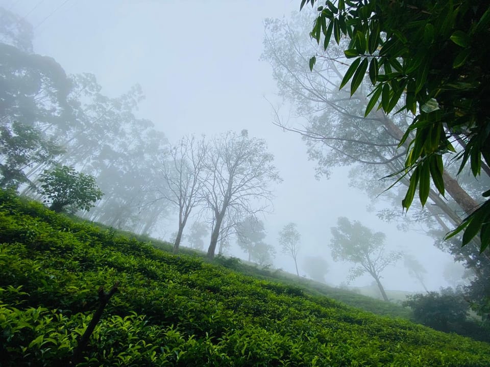 Niwasa House Bed and Breakfast in Central Province