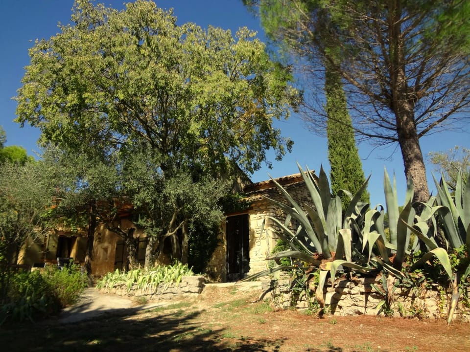 Property building, Facade/entrance, Garden, Garden view