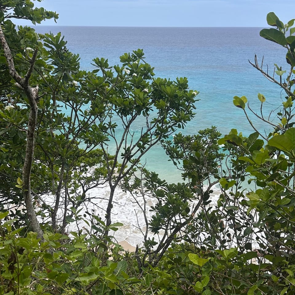 Bellahillsbyambar Villa in María Trinidad Sánchez Province