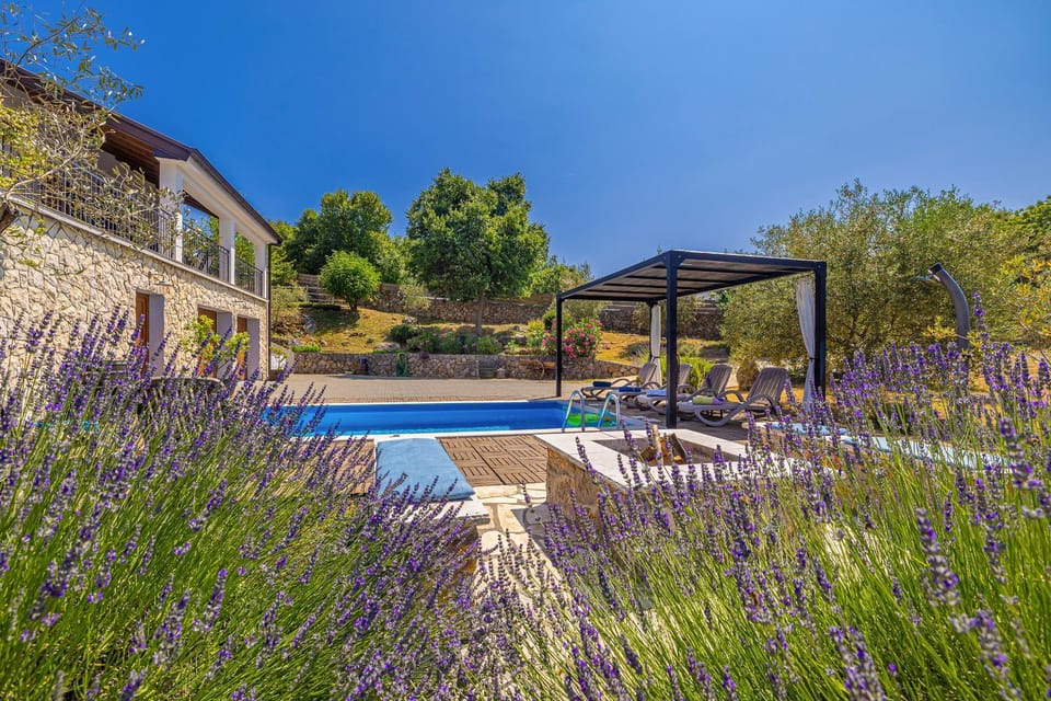 Garden, Pool view, Swimming pool, sunbed