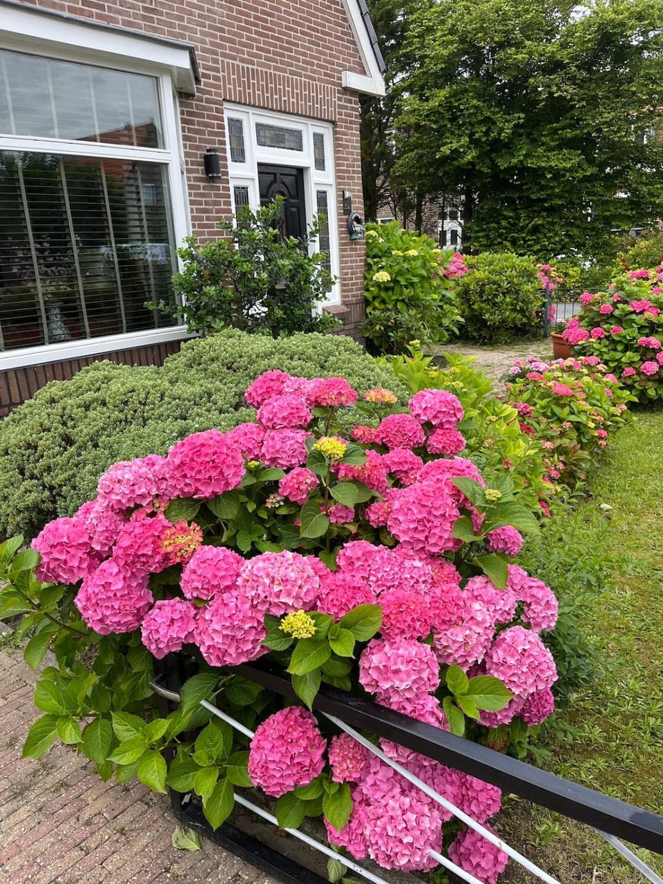Casa Buitenhof, near Leiden-Katwijk aan Zee House in Leiden