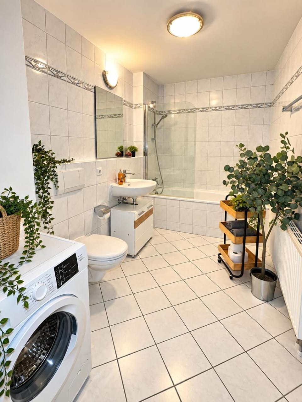 Toilet, Bathroom, towels, washing machine
