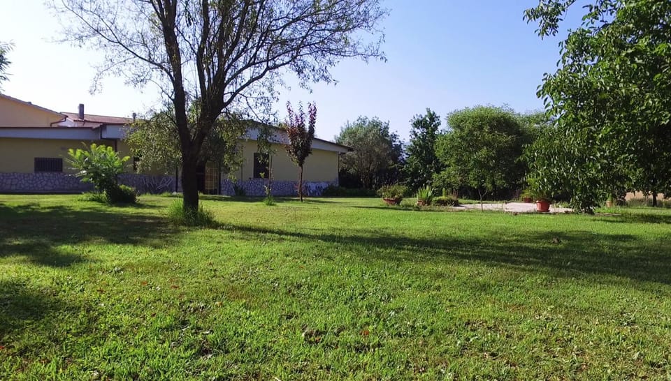 Property building, Day, Bird's eye view, Summer, Garden, On site, Area and facilities