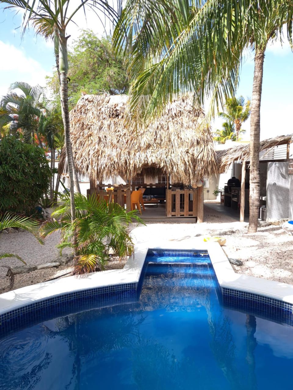Garden, Swimming pool
