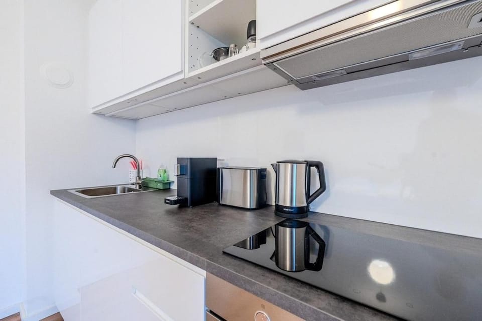 NOOR Studio with Balcony Lend Parking Option Apartment in Graz