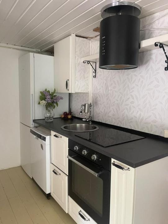 Kitchen or kitchenette, dishwasher, oven, stove