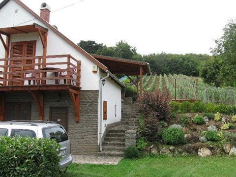 Zoltán Borháza Bed and Breakfast in Hungary