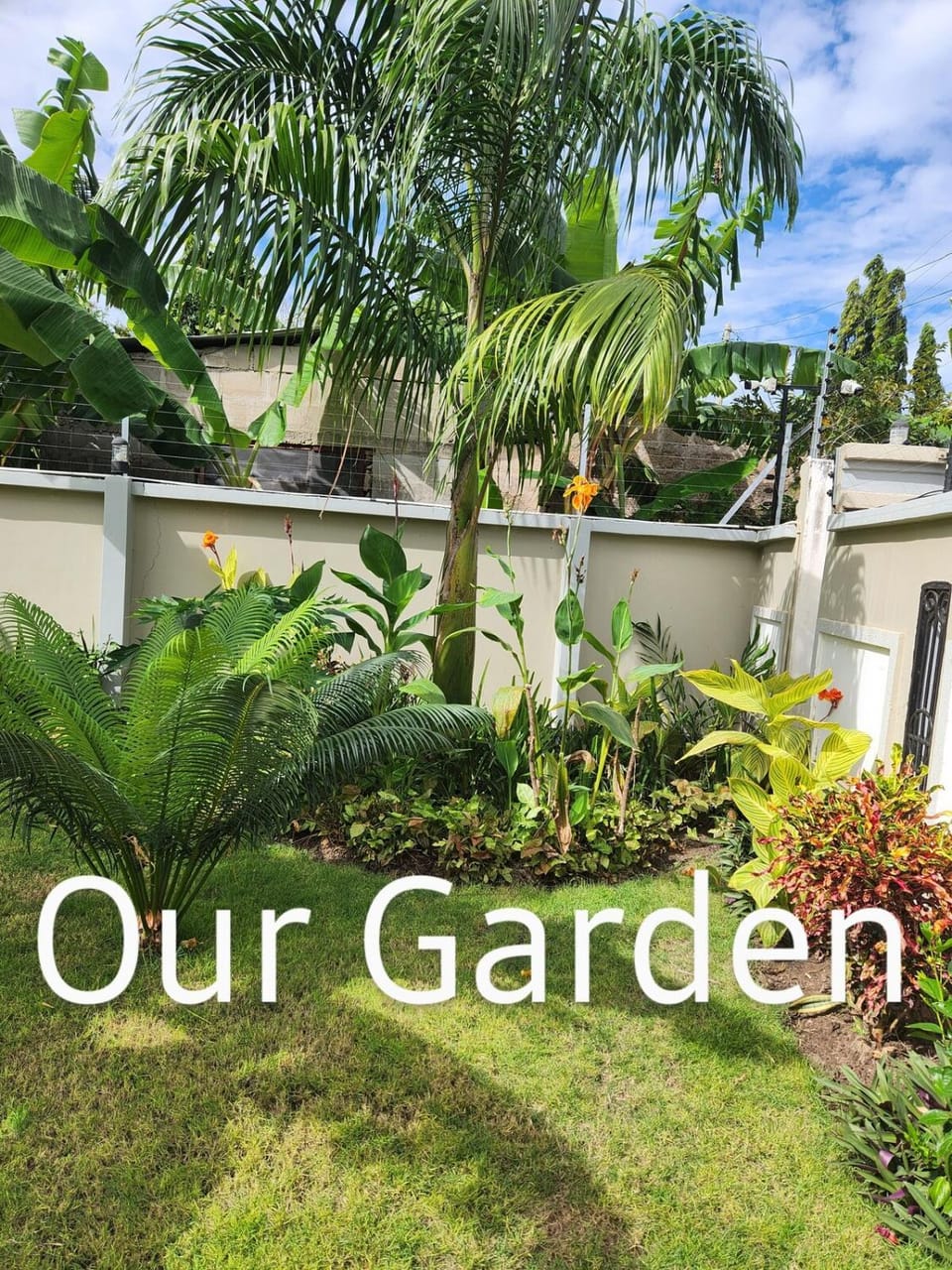 Garden, Garden view