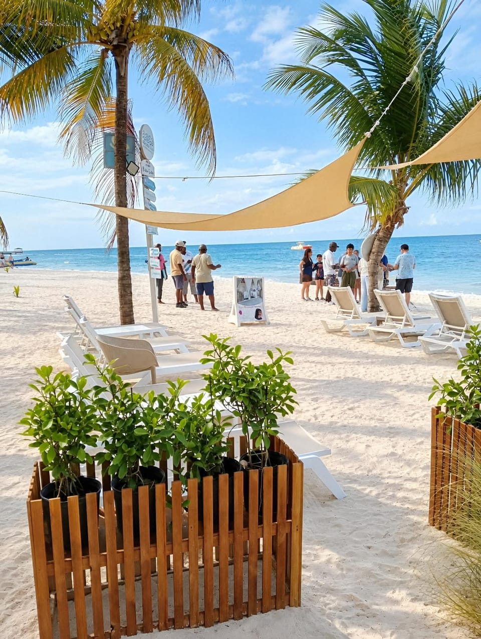 Nearby landmark, Restaurant/places to eat, Day, Natural landscape, Beach, Guests, sunbed