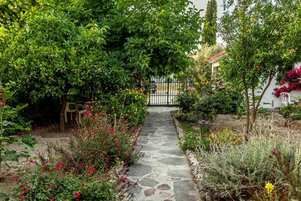 Hotel Ikaros Bed and Breakfast in Rhodes, Greece
