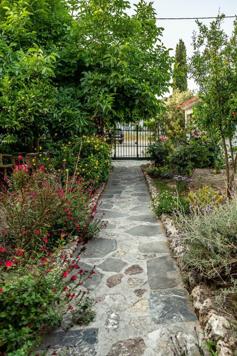 Hotel Ikaros Bed and Breakfast in Rhodes, Greece