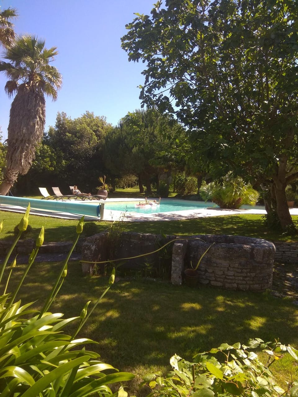 Swimming pool, Swimming pool
