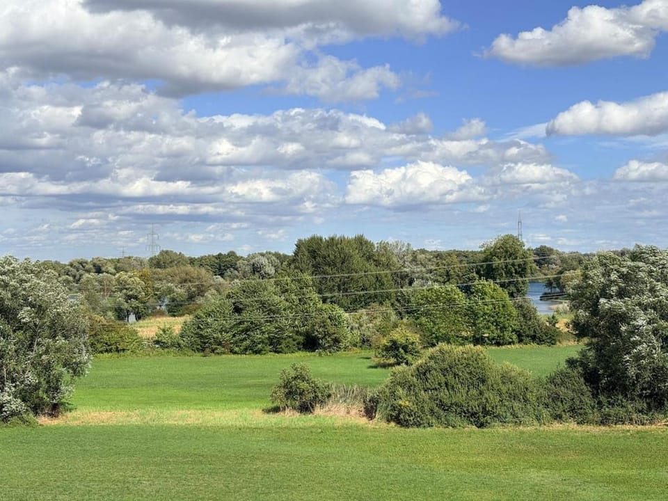 Lake view