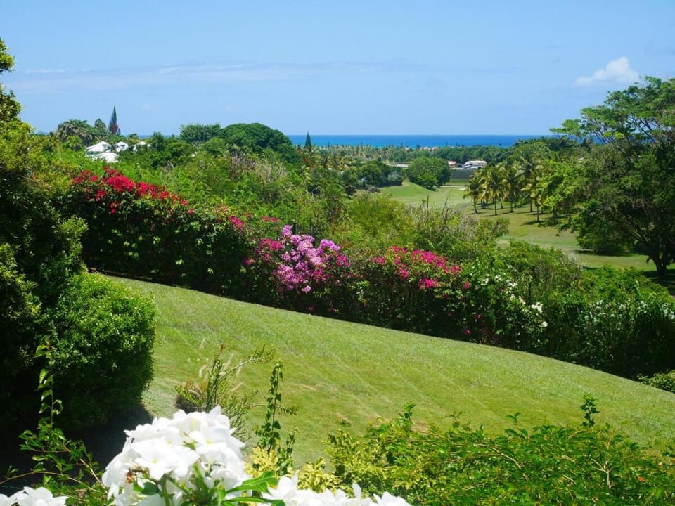 Villa ''Les Calliandras'' - Douceur des Alizés House in Grande-Terre, Guadeloupe