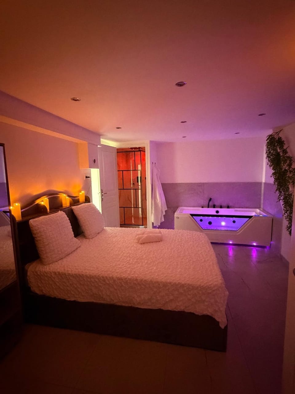 Le Céleste, Suite et SPA Privatif Apartment in Perpignan