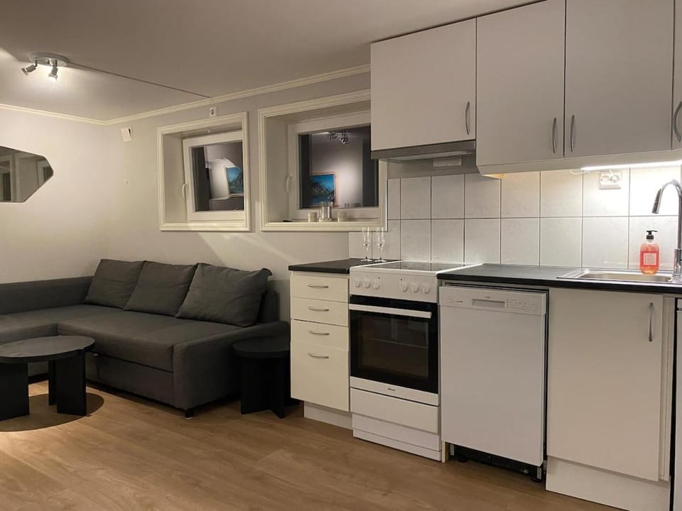 Central apartment in cozy house Apartment in Tromso