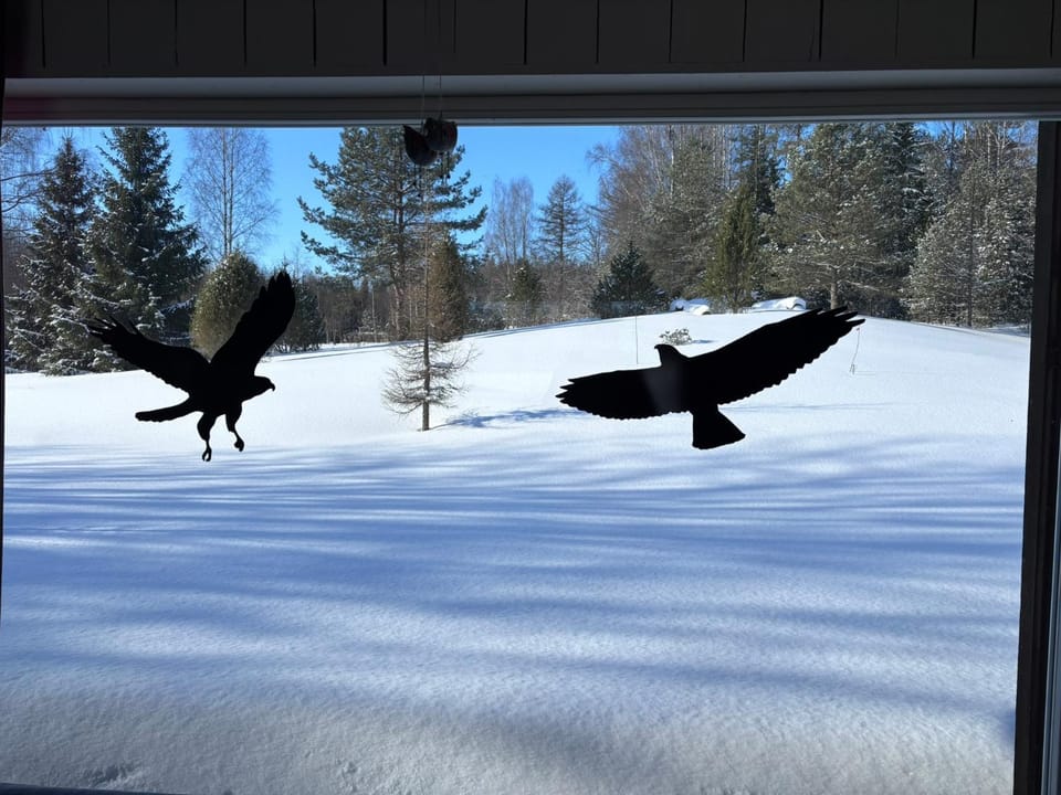 Day, Natural landscape, Winter, View (from property/room), View (from property/room), On site