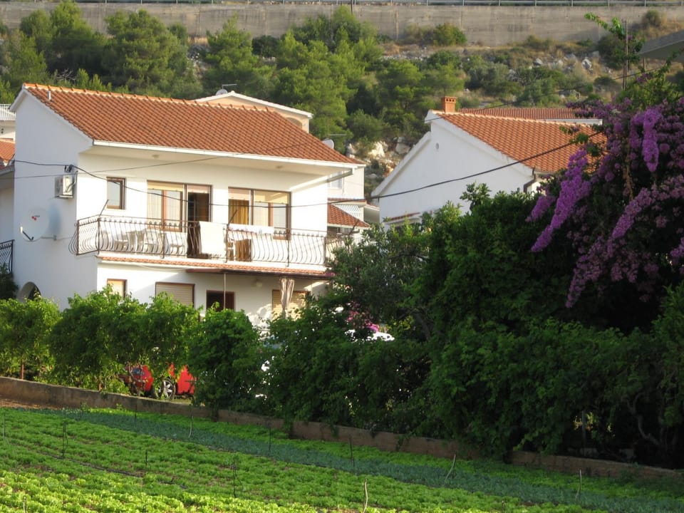 Facade/entrance, Neighbourhood, Garden