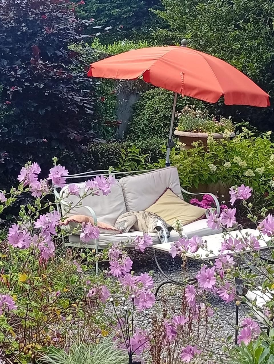 Cosy corner Apartment in County Limerick