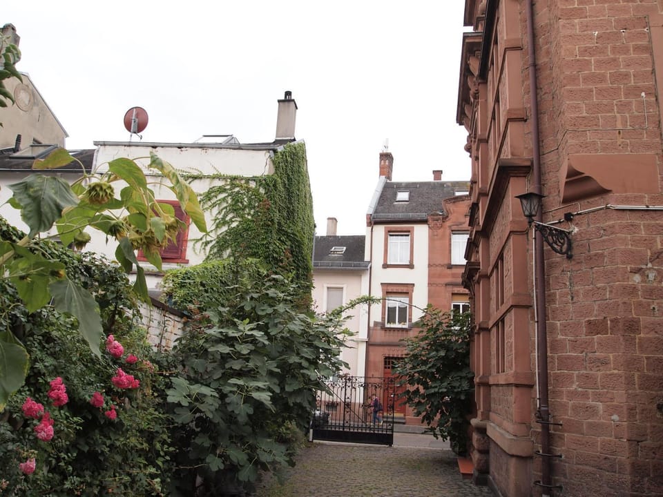 Neighbourhood