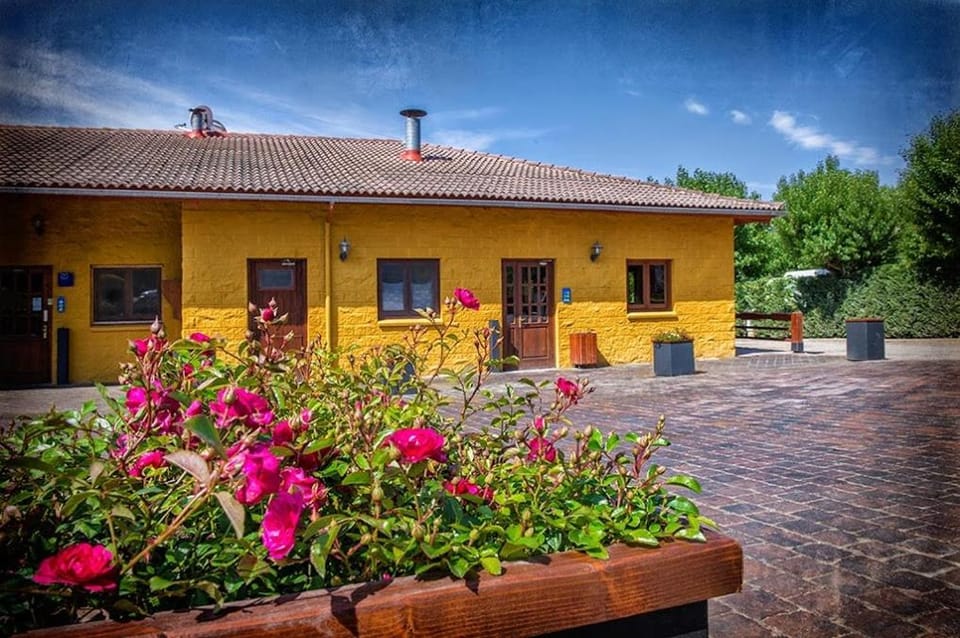 Property building, Facade/entrance, Spring, Day, Garden, On site