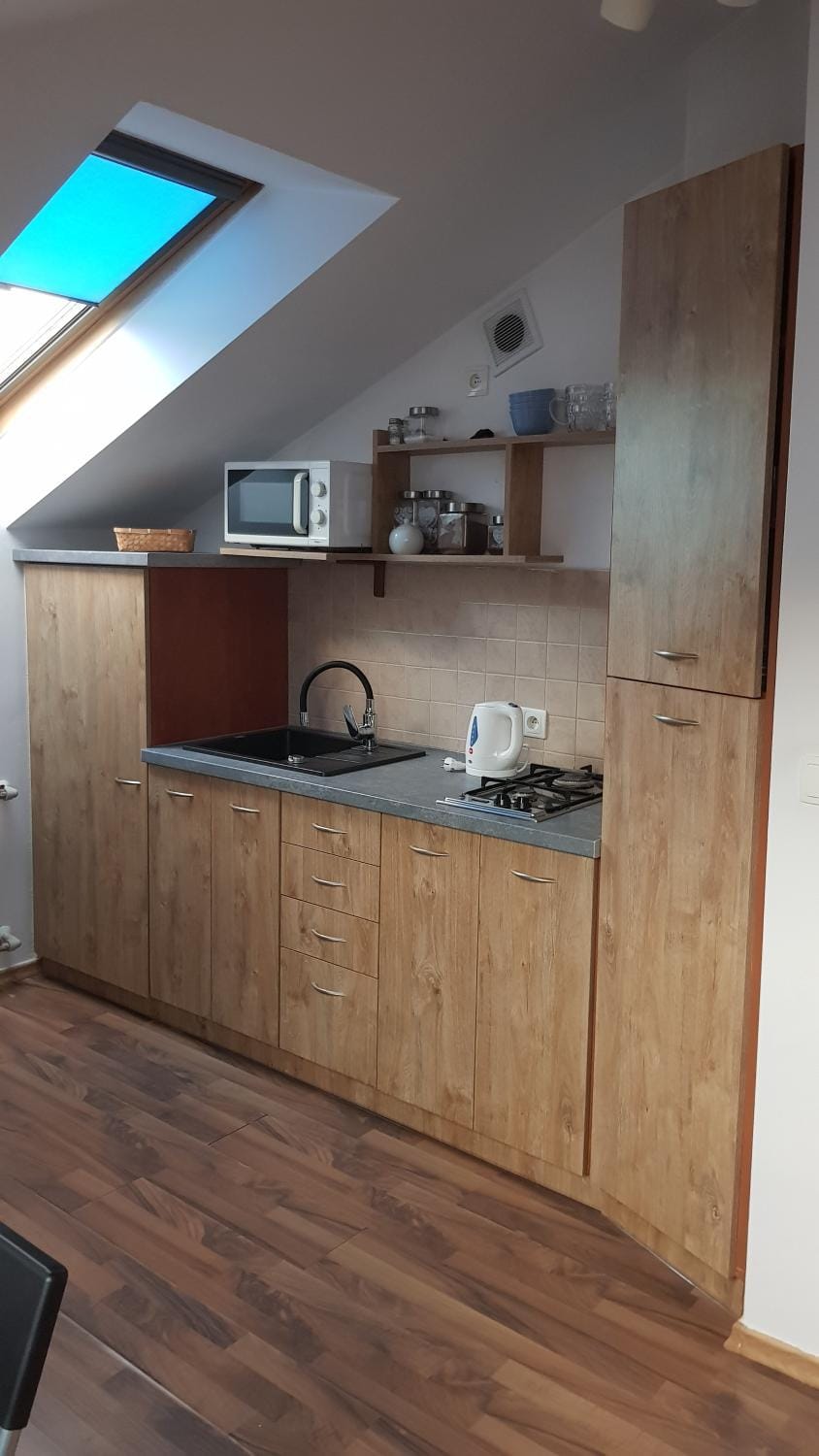 Kitchen or kitchenette, minibar, pet friendly