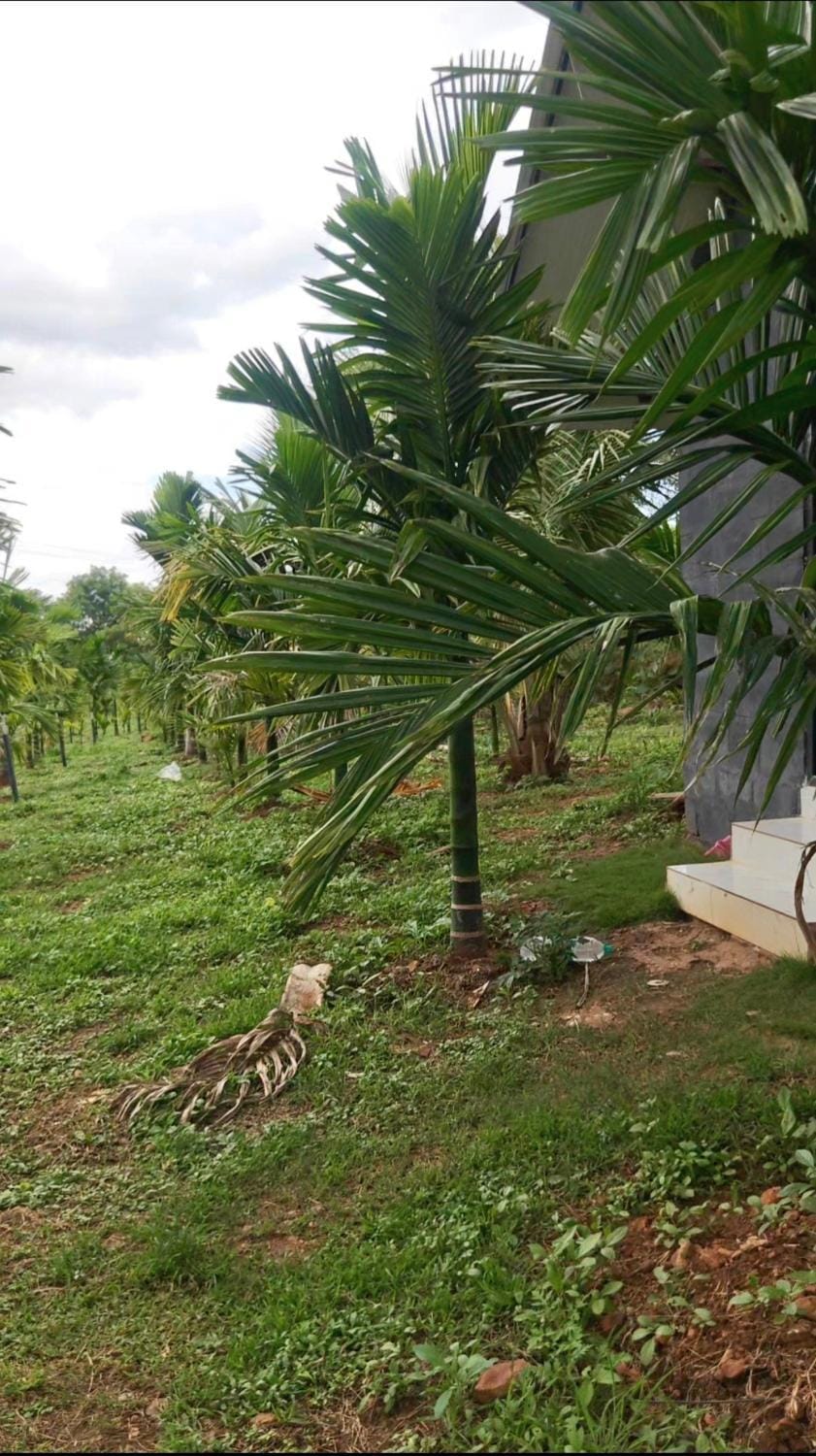 Garden, Garden view