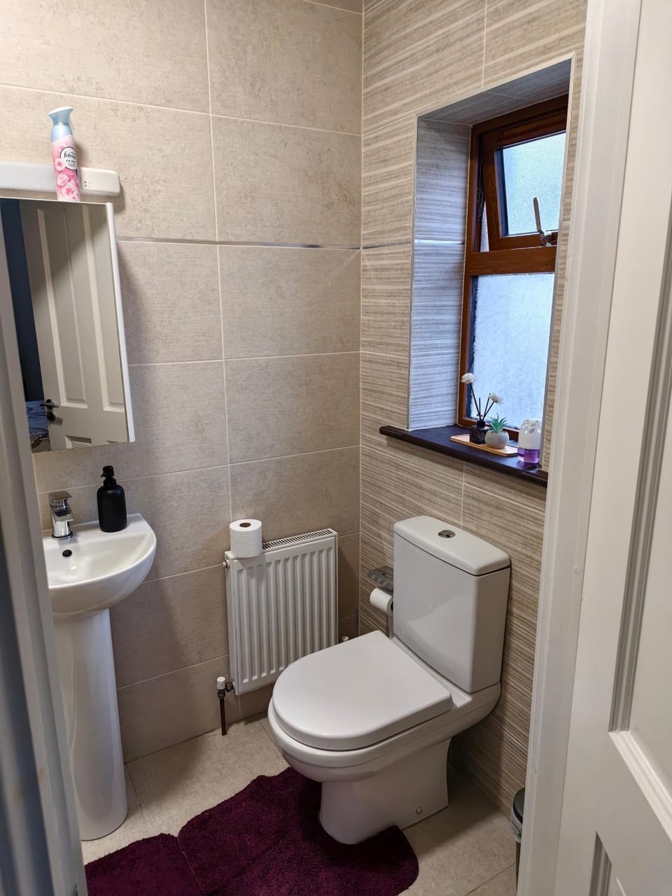 Ensuit room Vacation rental in Limerick