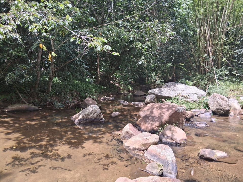 finca periquito Campground/ 
RV Resort in Puerto Rico