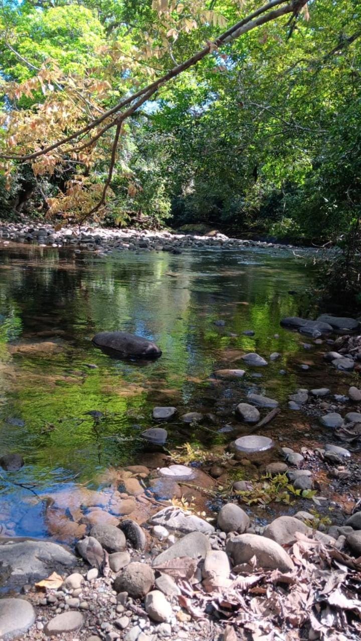 Geraldine Carol Valdes Campground/ 
RV Resort in Chiriquí Province