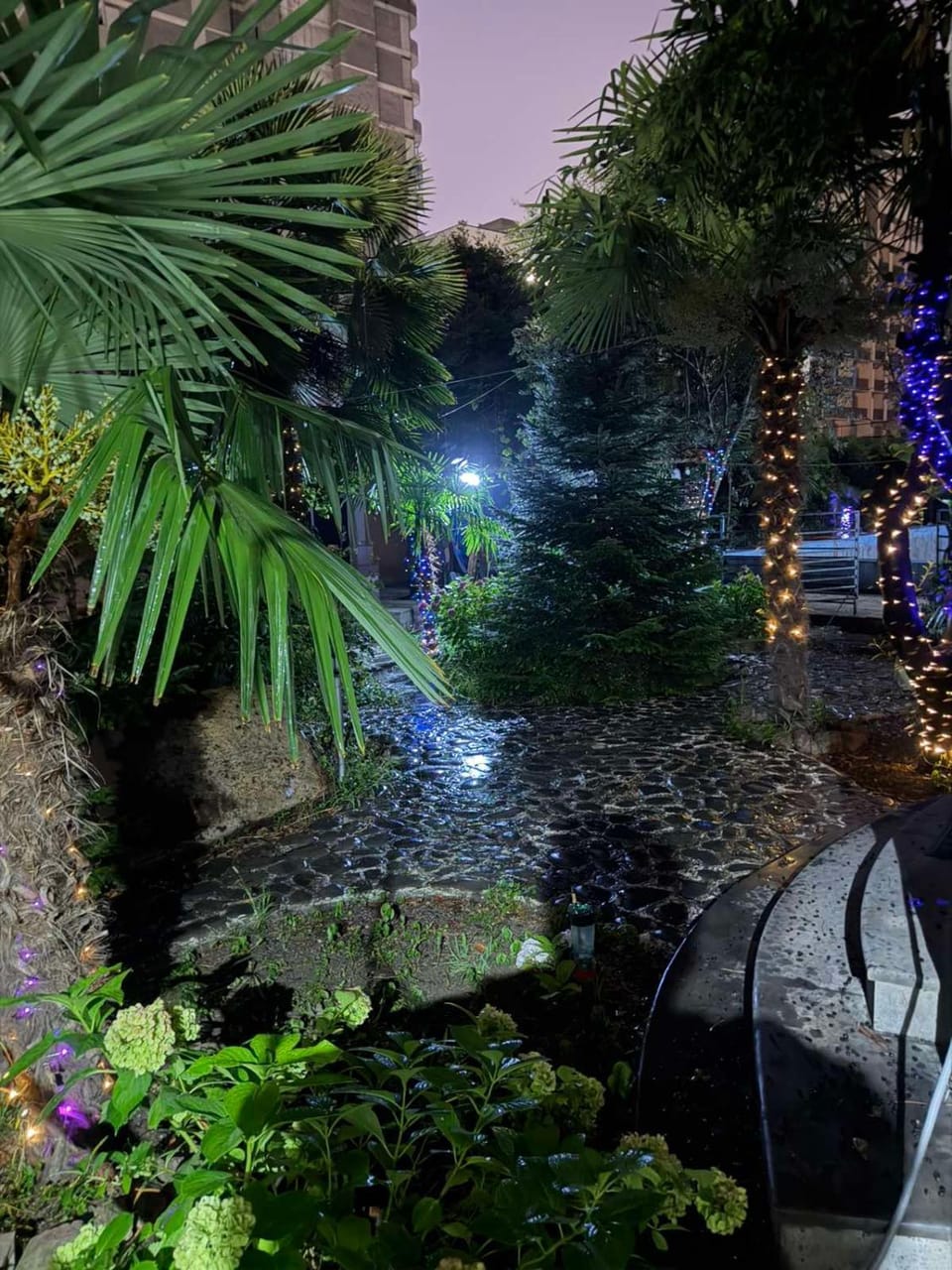 Night, Garden, Garden view