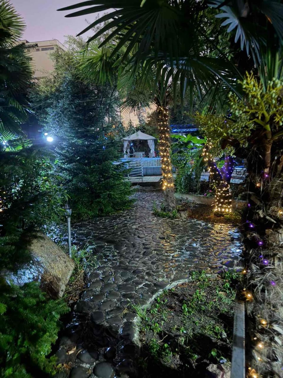 Night, Garden, Garden view