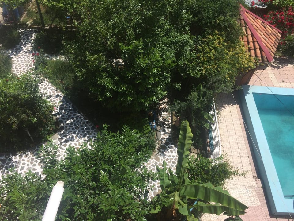 Wine Garden Apartment Bed and Breakfast in Tbilisi, Georgia