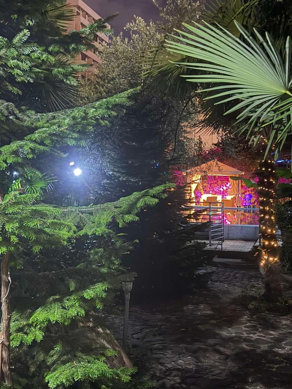 Night, Garden view