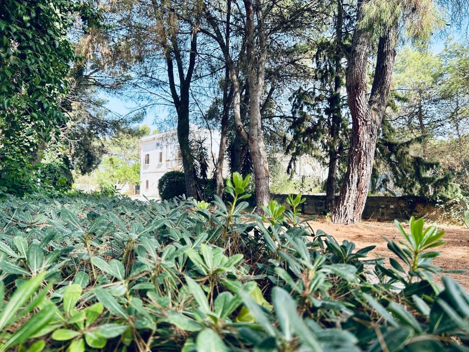Natural landscape, Garden, Garden view