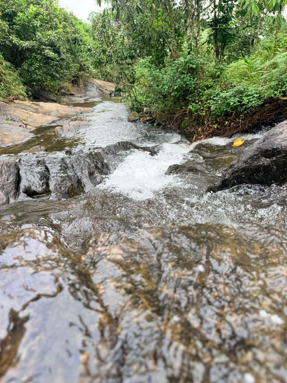 Wayora Resort Vagamon Villa in Kerala