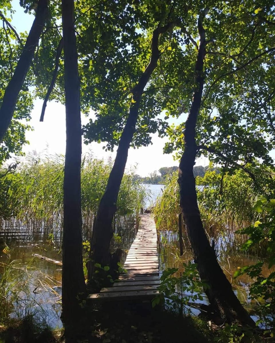 Day, Natural landscape, Lake view