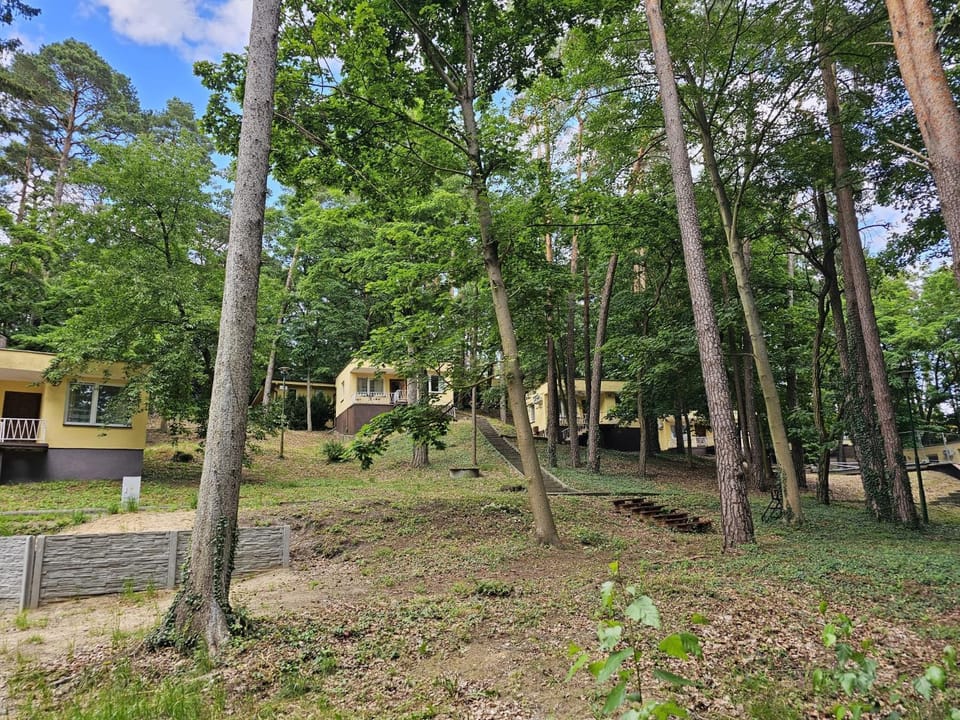 Property building, Natural landscape