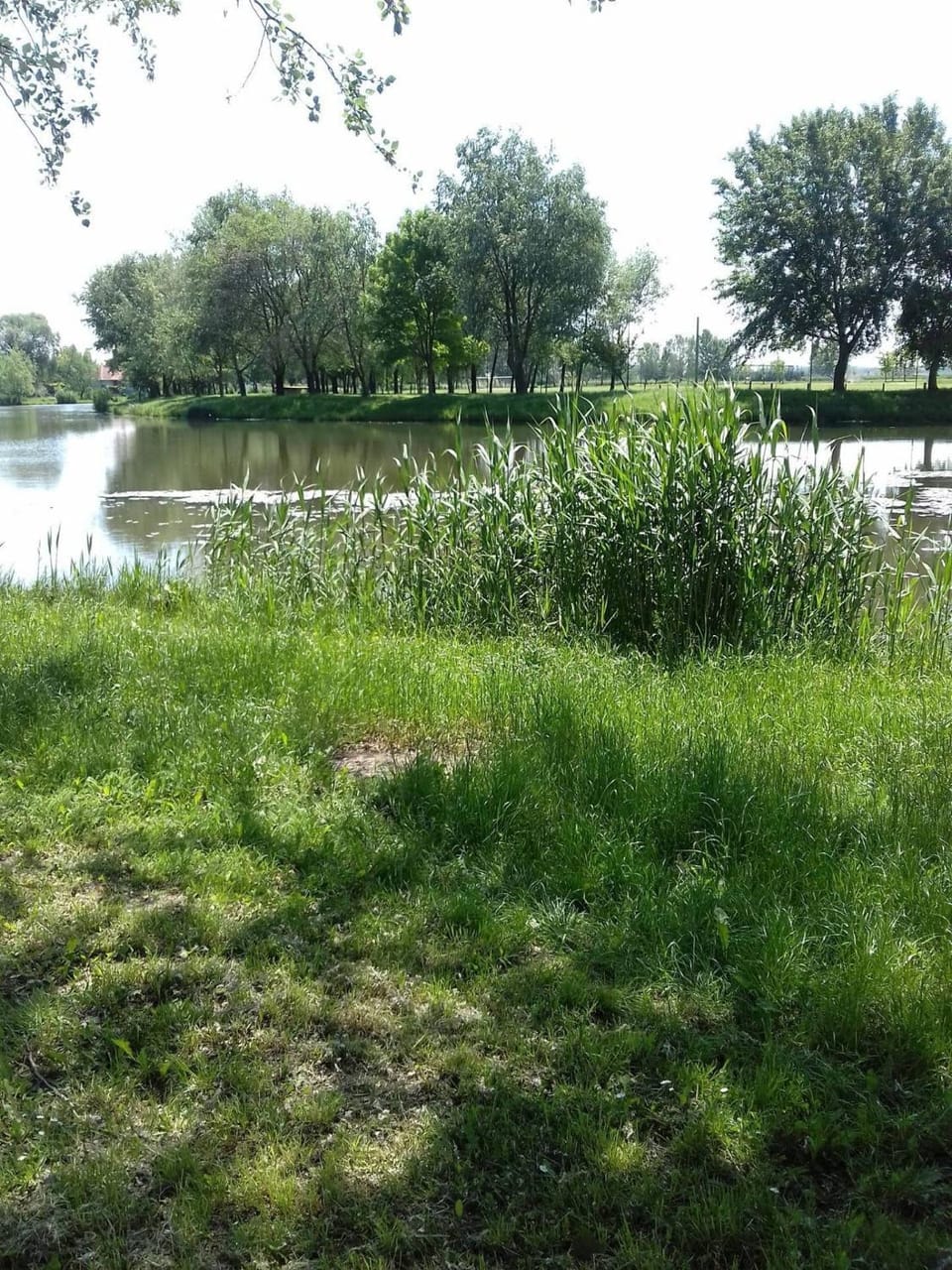 Neighbourhood, Natural landscape, Beach