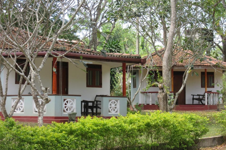 Property building, Garden, Garden view