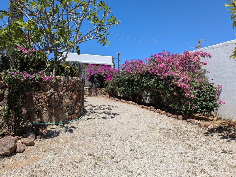 Patio, Garden, Garden view