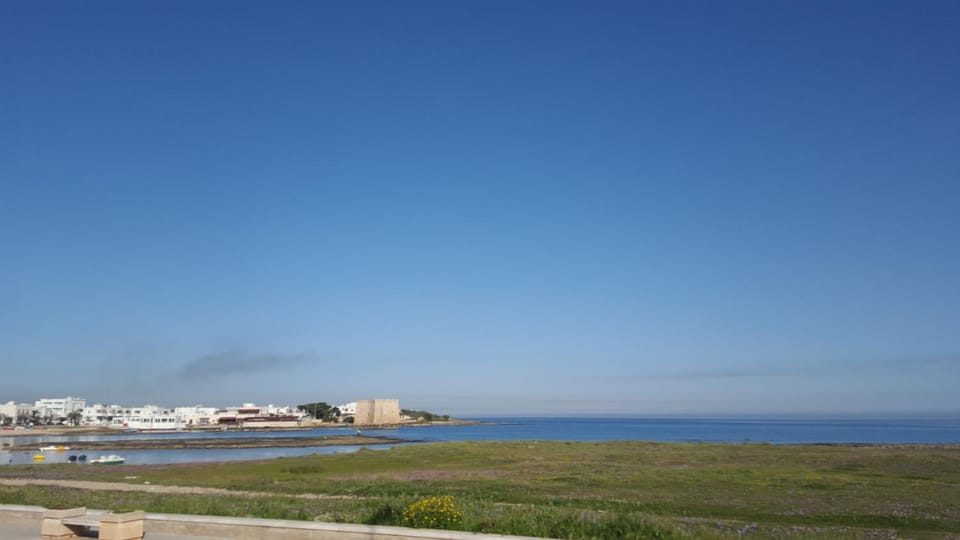 Nearby landmark, Neighbourhood, Natural landscape, Other, Beach