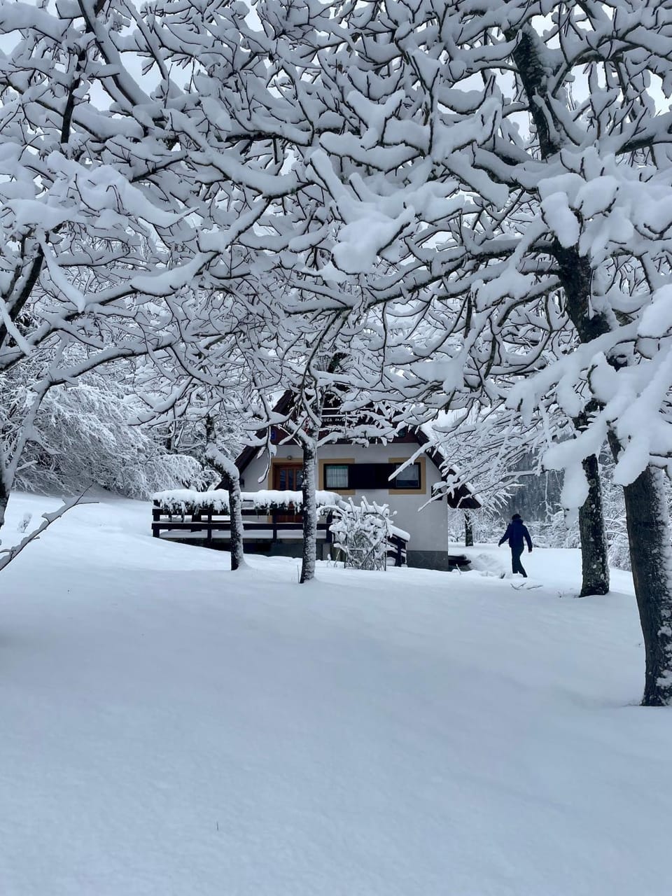 Day, People, Natural landscape, Winter