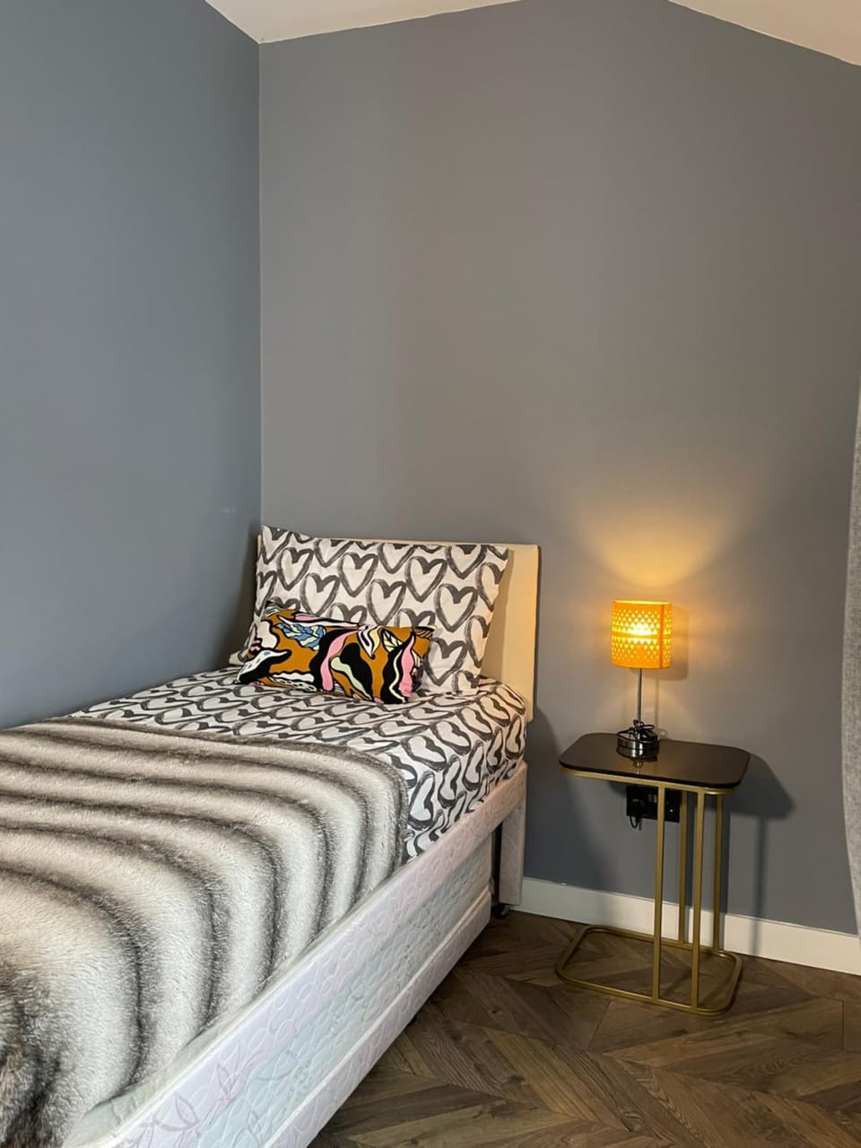 House with private hot tub Apartment in Lincoln