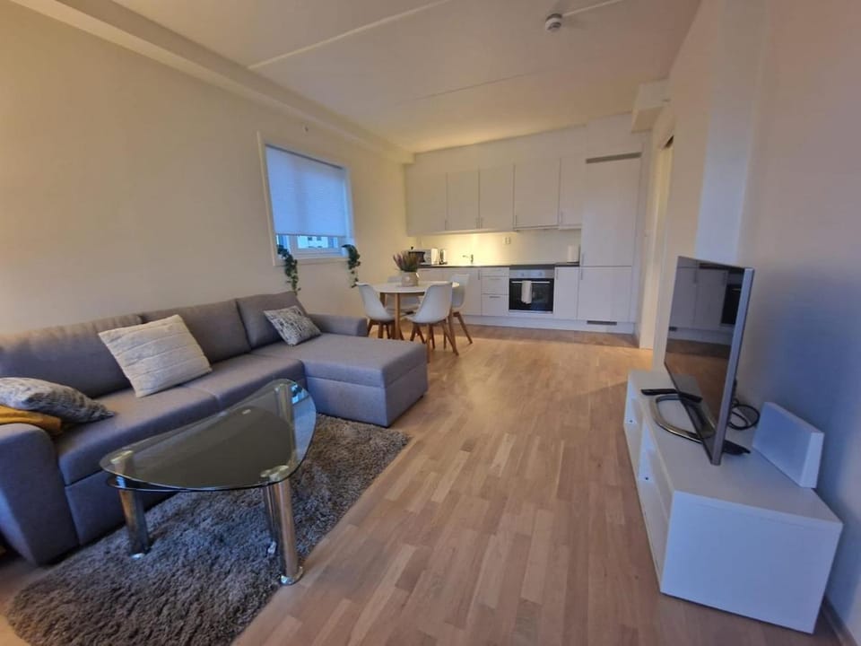 Mordern Apartment near Train, Shopping and Airport Apartment in Viken, Norway