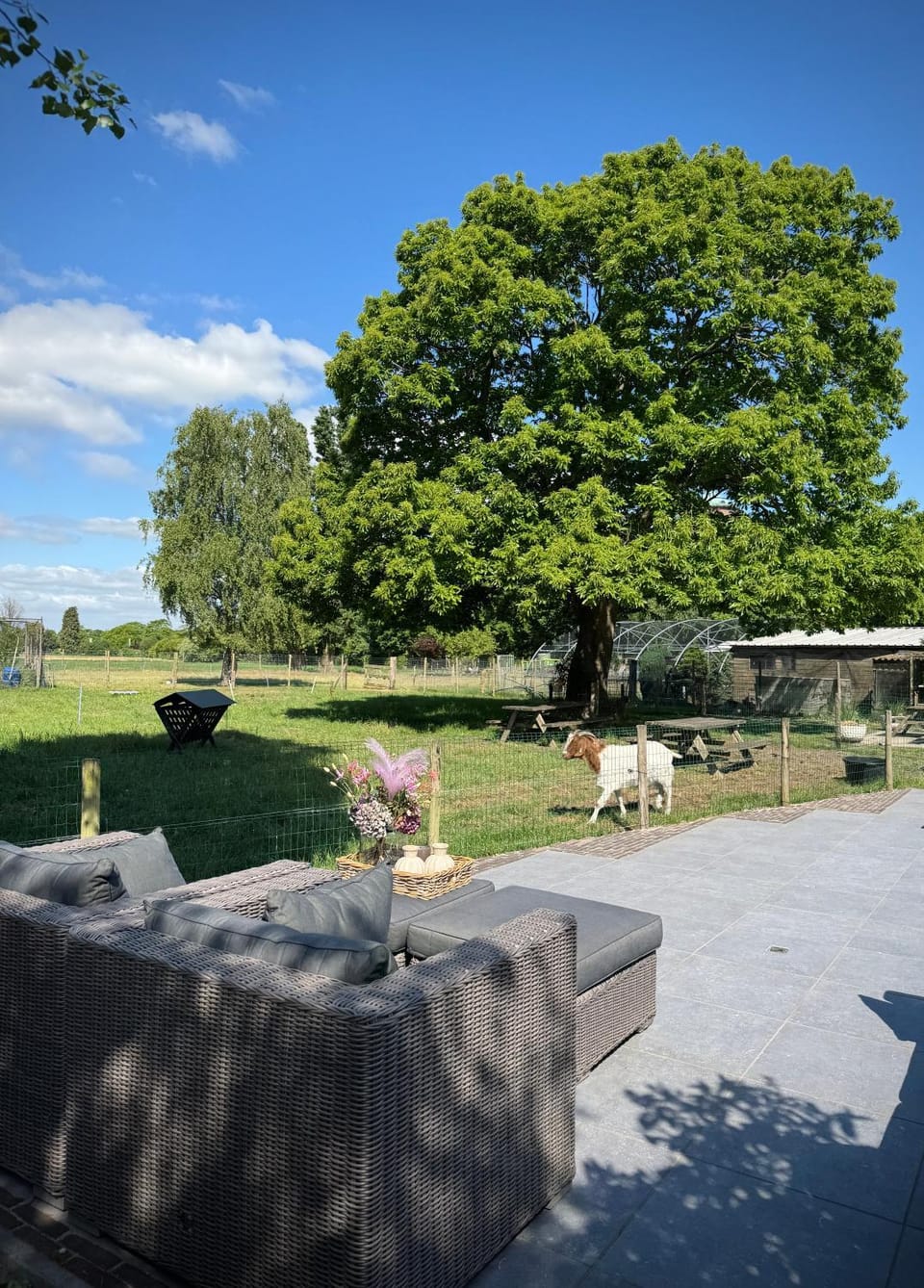 B&B Logeren bij van Heeren Bed and Breakfast in South Holland (province)