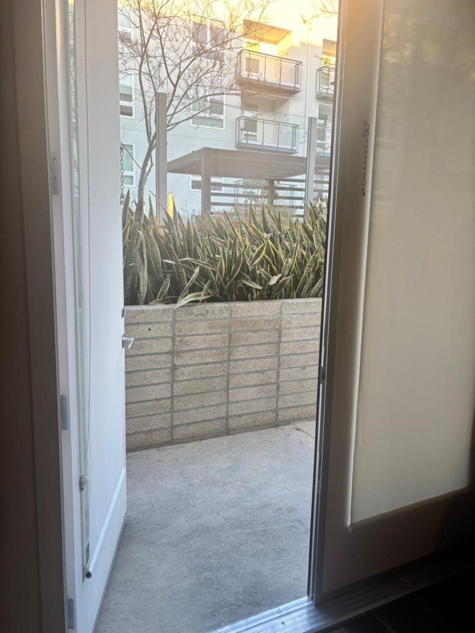 In the Heart Of Northridge Apartment in Northridge