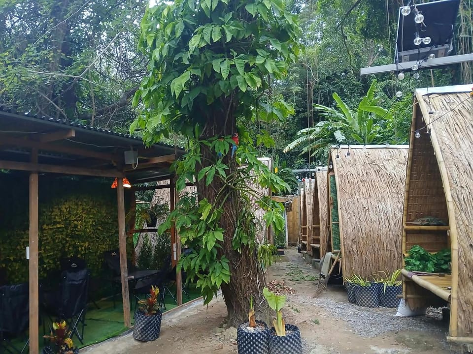 Kalabambooland Campground/ 
RV Resort in Patong
