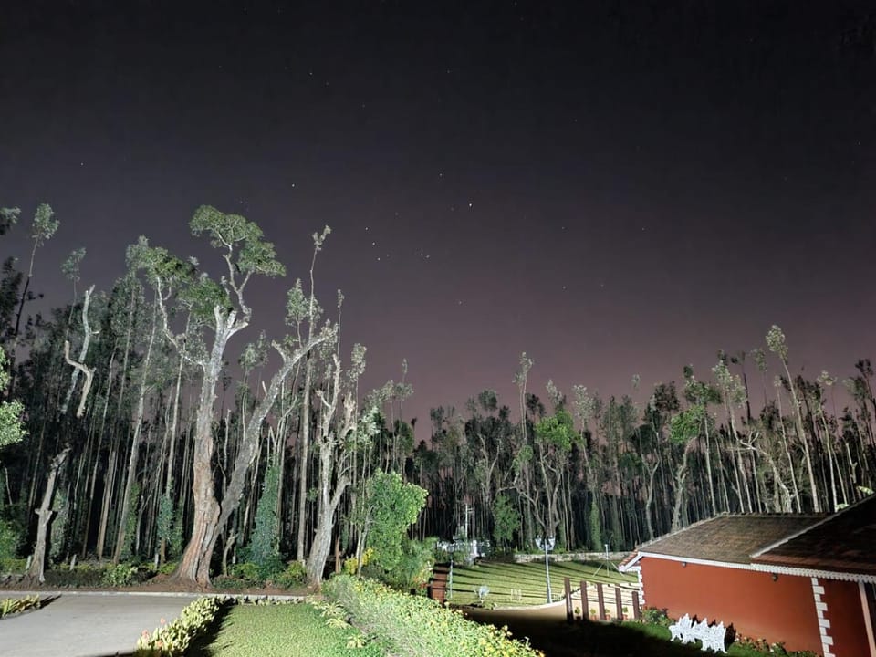 Natural landscape