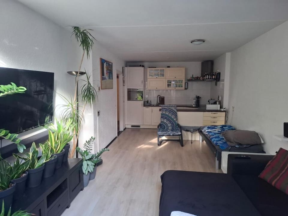 central location but still very quiet Apartment in Haarlem